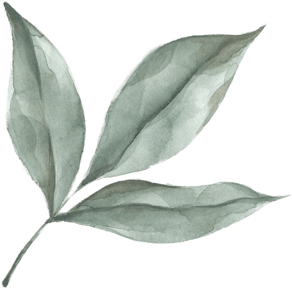 Modern oasis leaf